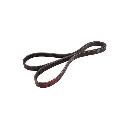 Honda K20 K24 V-ribbed belt