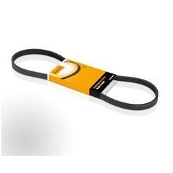 Nissan Skyline Power Steering Belt
